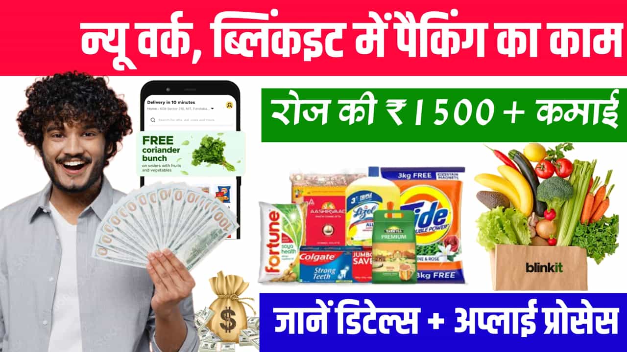 Blinkit WFH Job